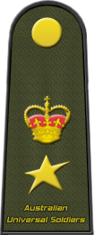 Lieutenant Colonel LT/COL