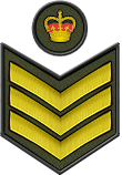 Staff Sergeant S/SGT